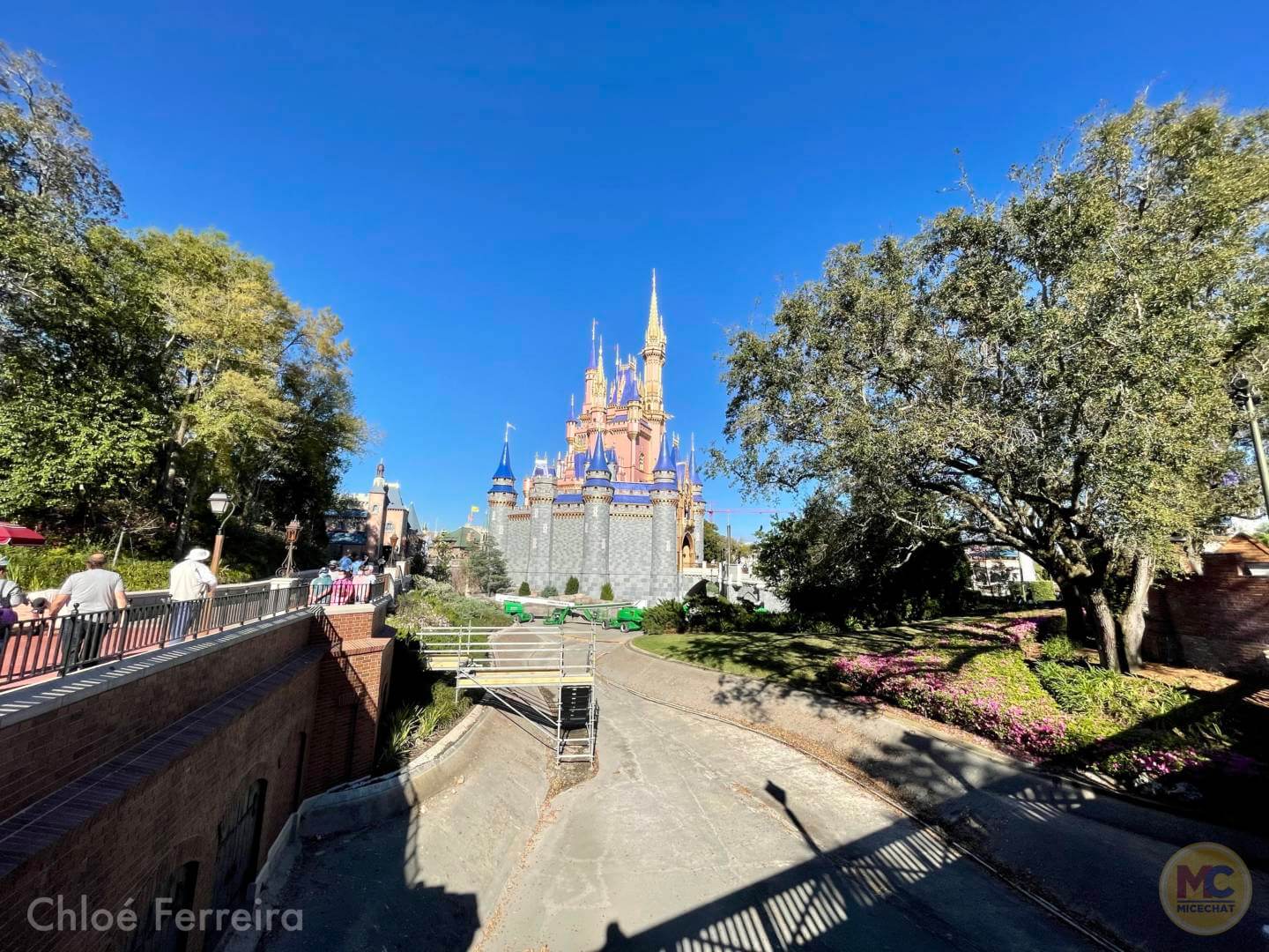 , Walt Disney World Updates – Splash, Bloom, Zoom