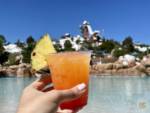 , Walt Disney World Updates – Splash, Bloom, Zoom