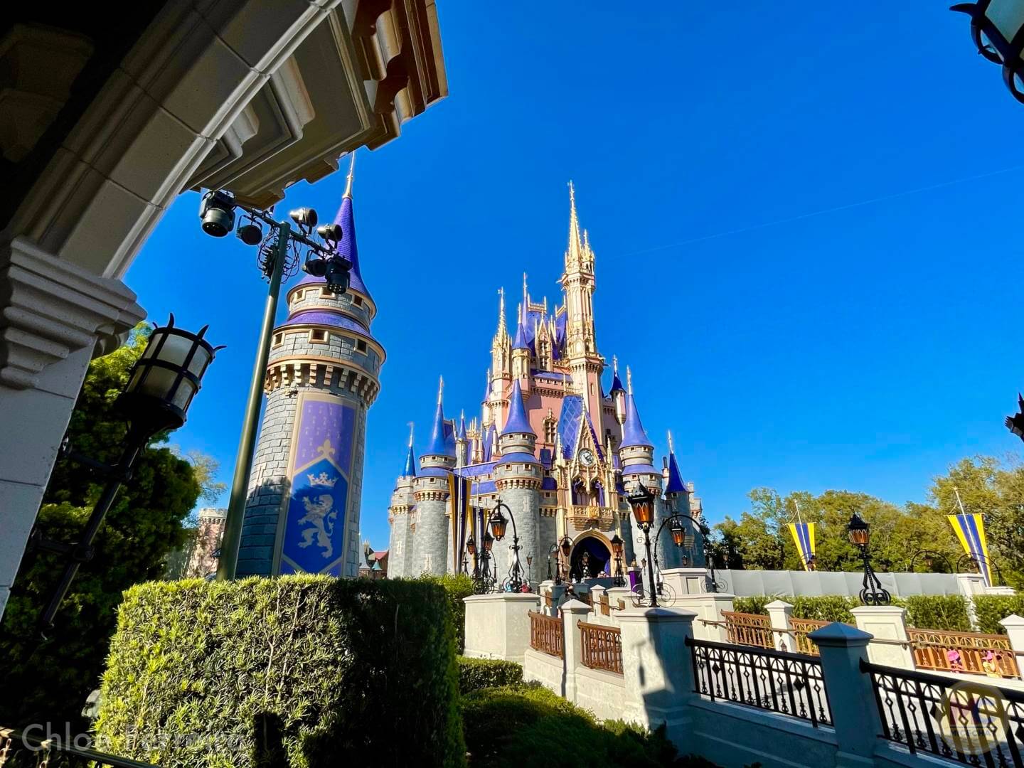 , Walt Disney World Updates – Splash, Bloom, Zoom