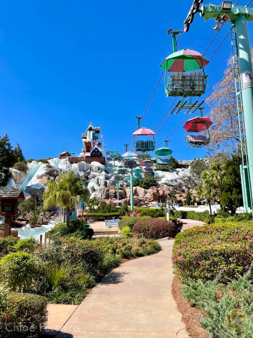 , Walt Disney World Updates – Splash, Bloom, Zoom