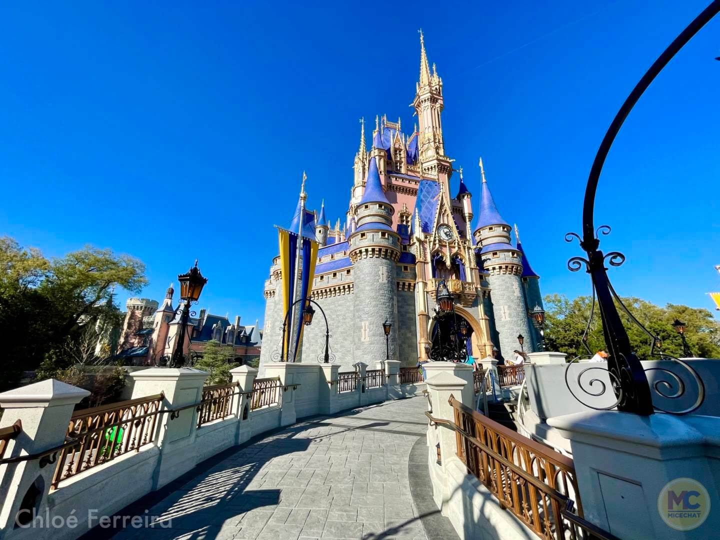 , Walt Disney World Updates – Splash, Bloom, Zoom