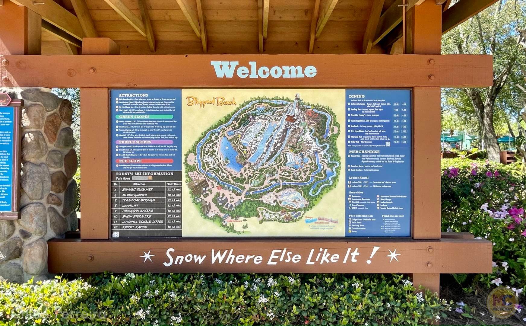 , Walt Disney World Updates – Splash, Bloom, Zoom