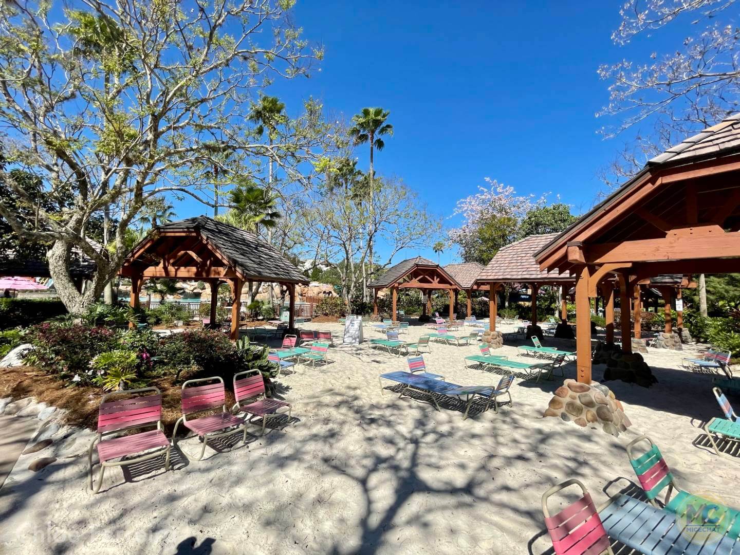 , Walt Disney World Updates – Splash, Bloom, Zoom