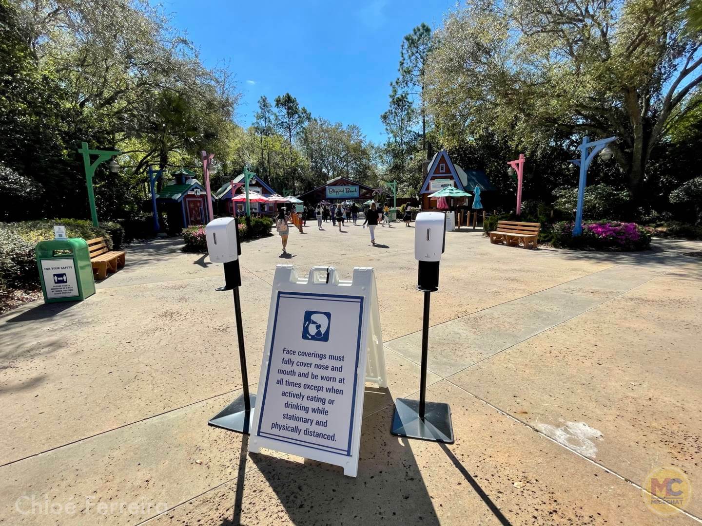 , Walt Disney World Updates – Splash, Bloom, Zoom