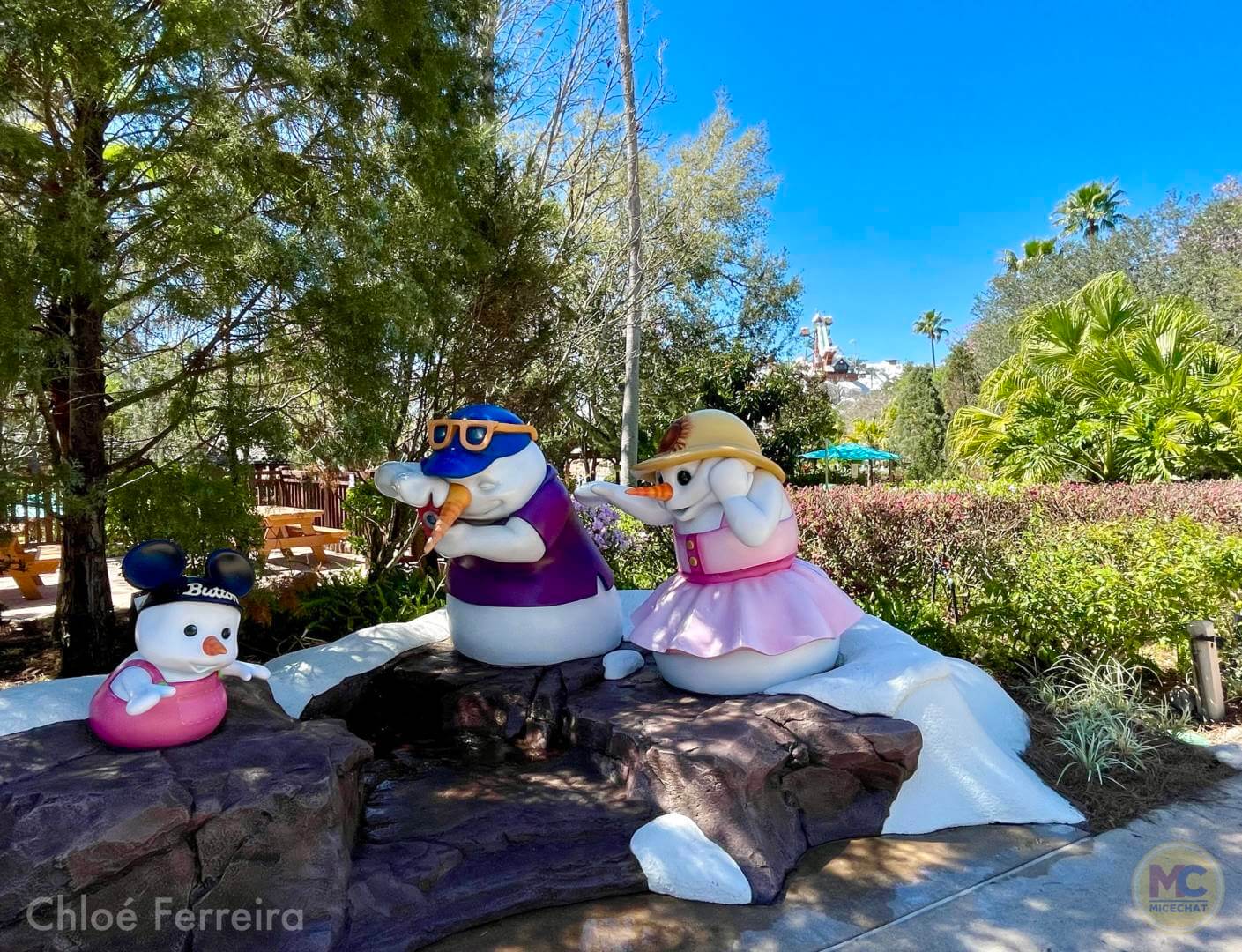 , Walt Disney World Updates – Splash, Bloom, Zoom