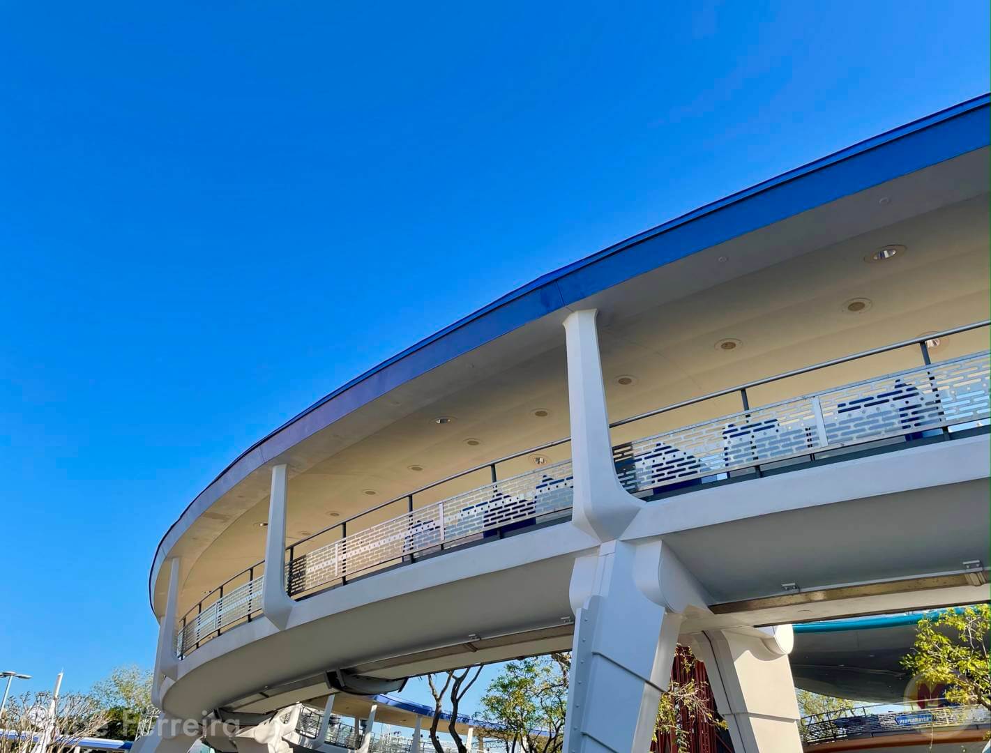 , Walt Disney World Updates – Splash, Bloom, Zoom
