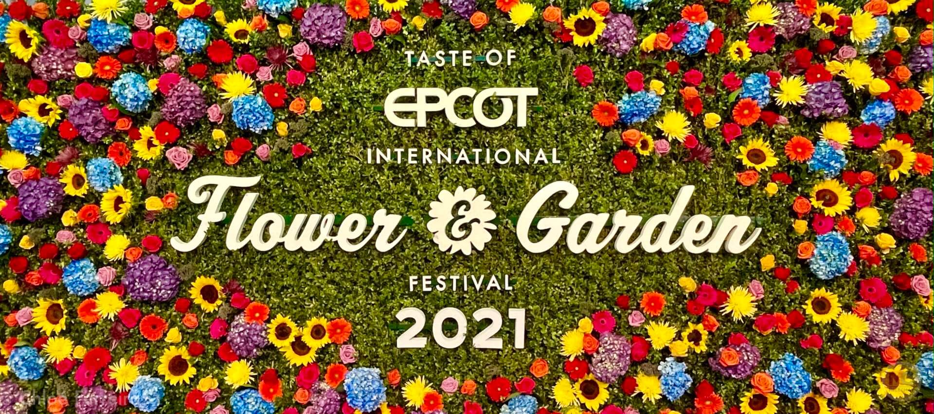 , Walt Disney World Updates – Splash, Bloom, Zoom