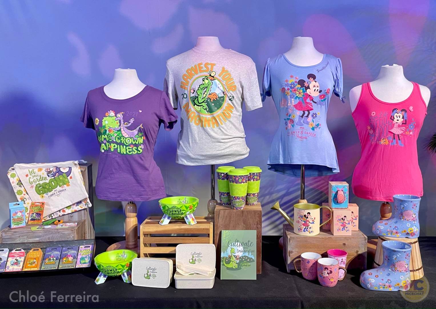, Walt Disney World Updates – Splash, Bloom, Zoom