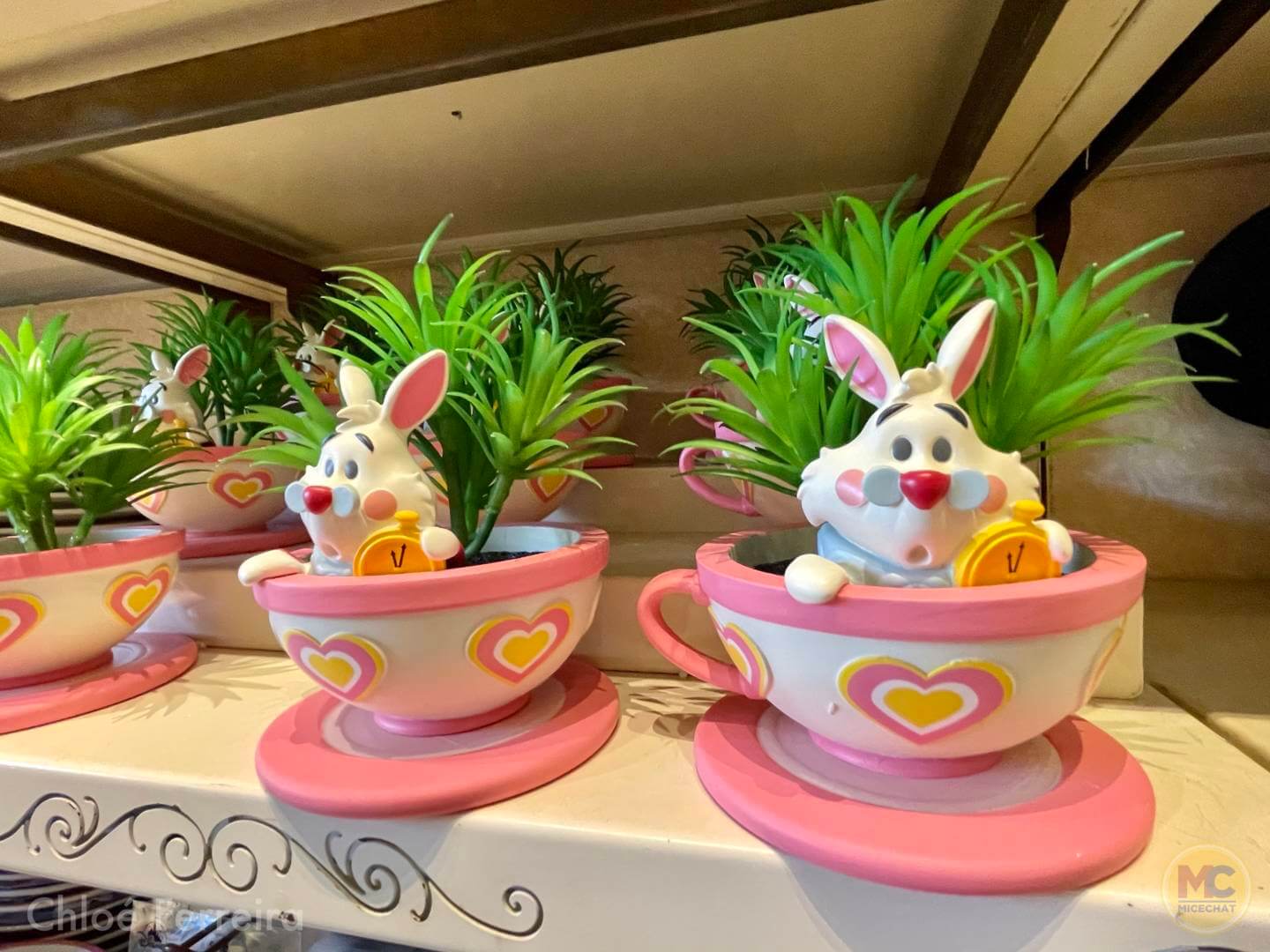 , Walt Disney World Updates – Splash, Bloom, Zoom