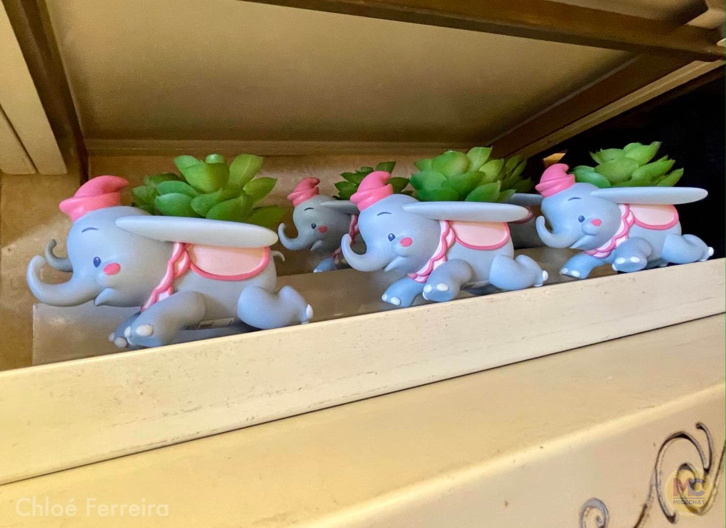 , Walt Disney World Updates – Splash, Bloom, Zoom