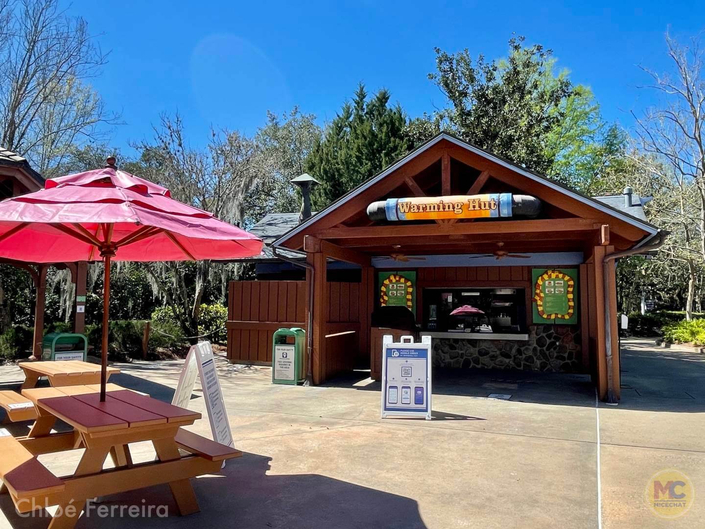 , Walt Disney World Updates – Splash, Bloom, Zoom