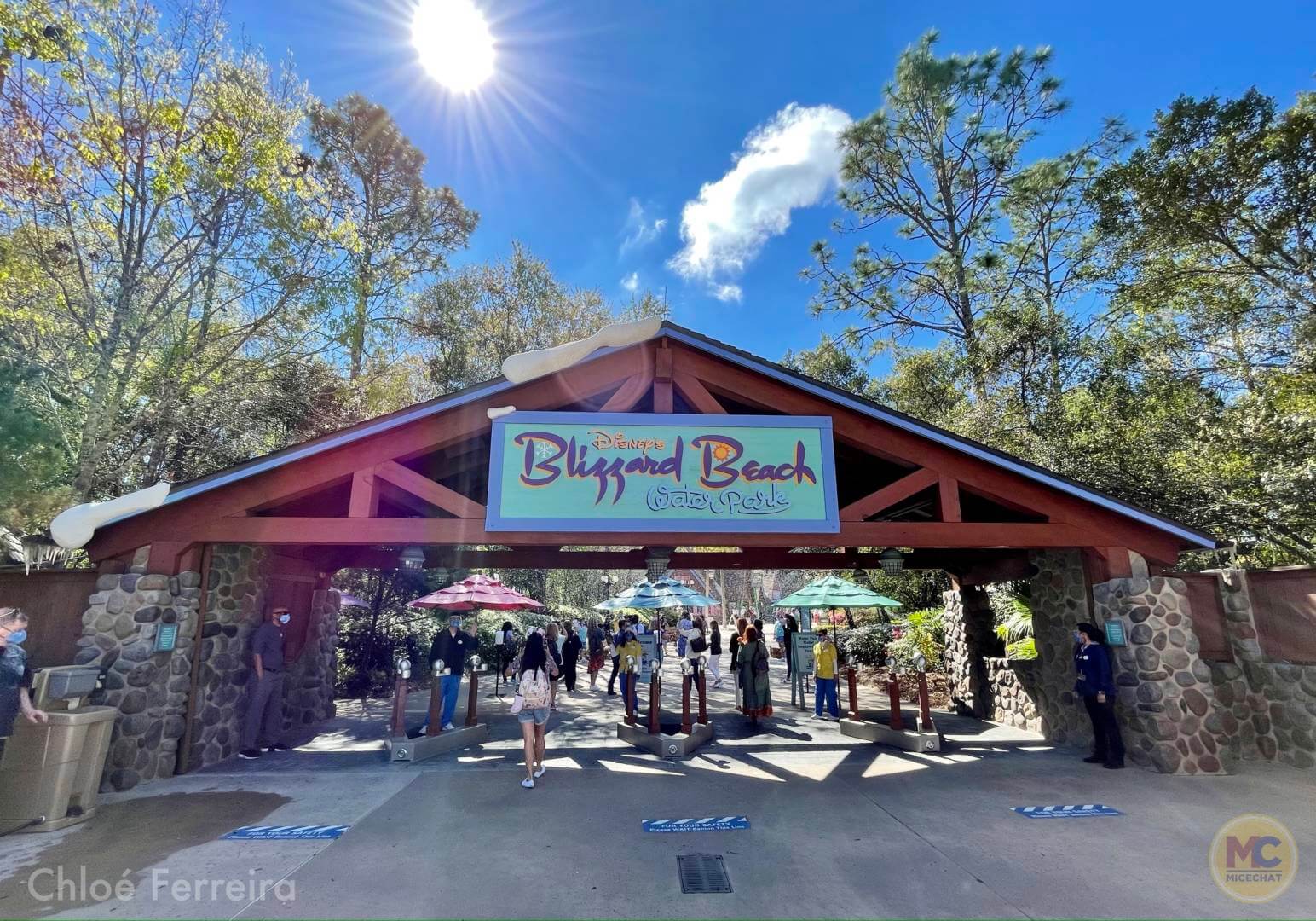 , Walt Disney World Updates – Splash, Bloom, Zoom