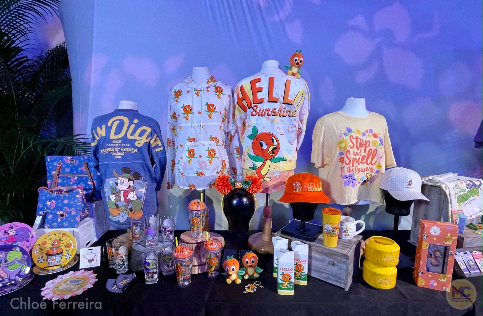 , Walt Disney World Updates – Splash, Bloom, Zoom