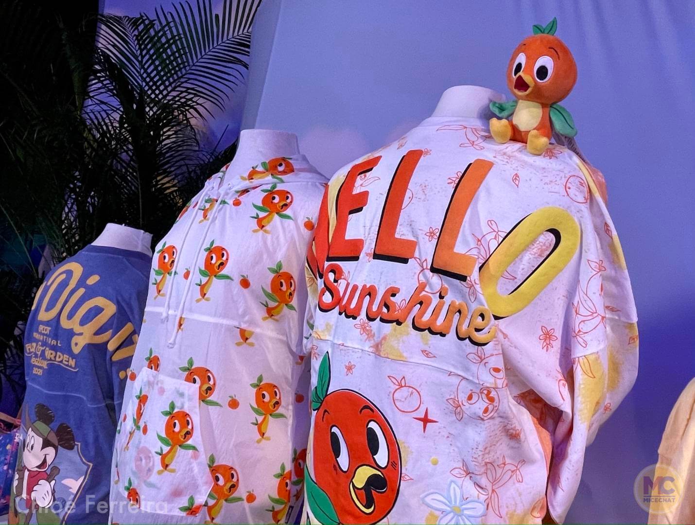 , Walt Disney World Updates – Splash, Bloom, Zoom
