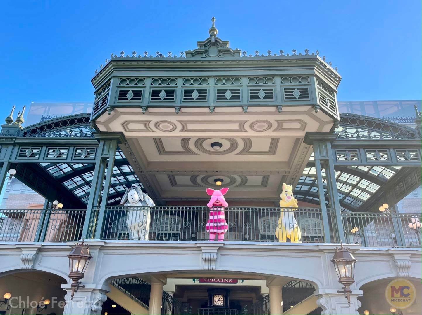 , Walt Disney World Updates – Splash, Bloom, Zoom