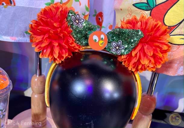 , Walt Disney World Updates – Splash, Bloom, Zoom