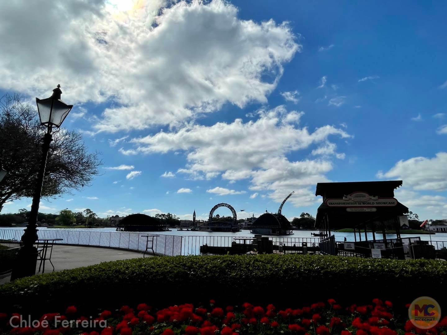 , Walt Disney World Updates – Splash, Bloom, Zoom