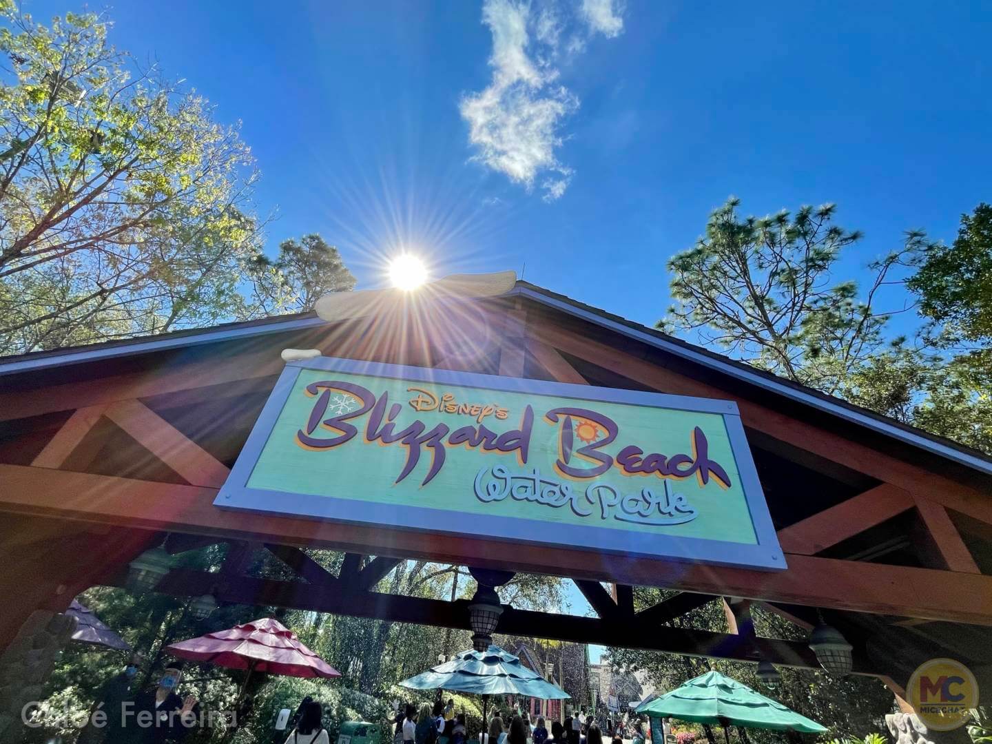 , Walt Disney World Update – Flying, Zooming & Rolling Along