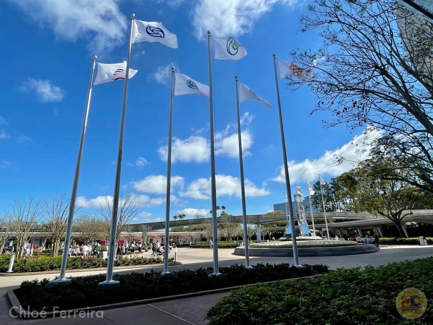 , Walt Disney World Updates – Splash, Bloom, Zoom