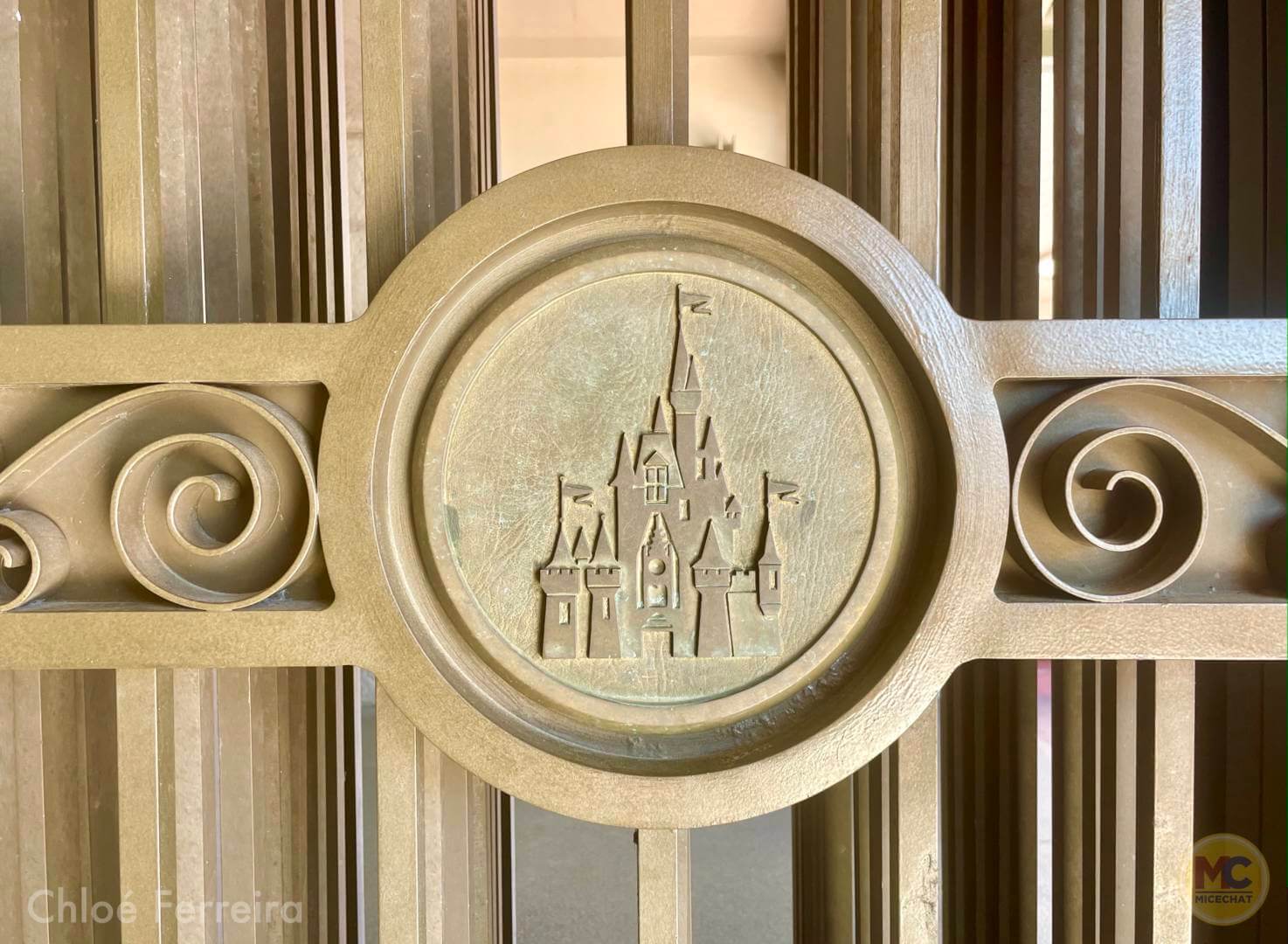 , Walt Disney World Updates – Splash, Bloom, Zoom