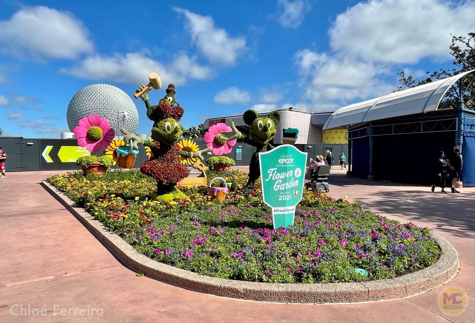, Walt Disney World Updates – Splash, Bloom, Zoom
