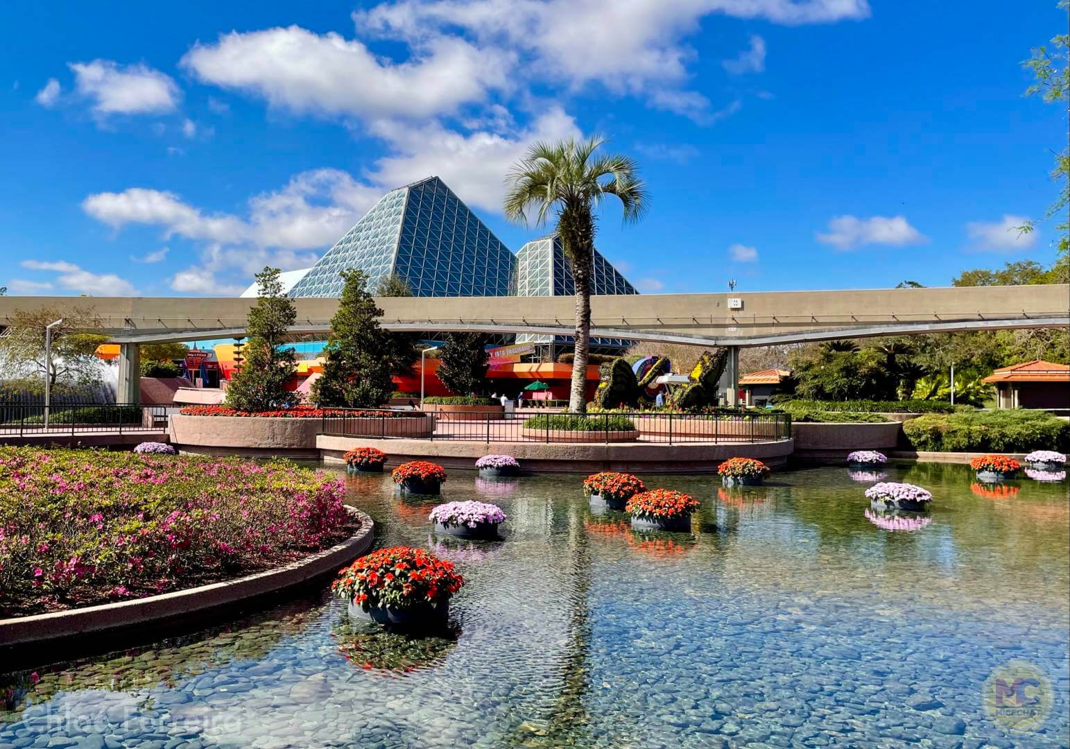 , Walt Disney World Updates – Splash, Bloom, Zoom