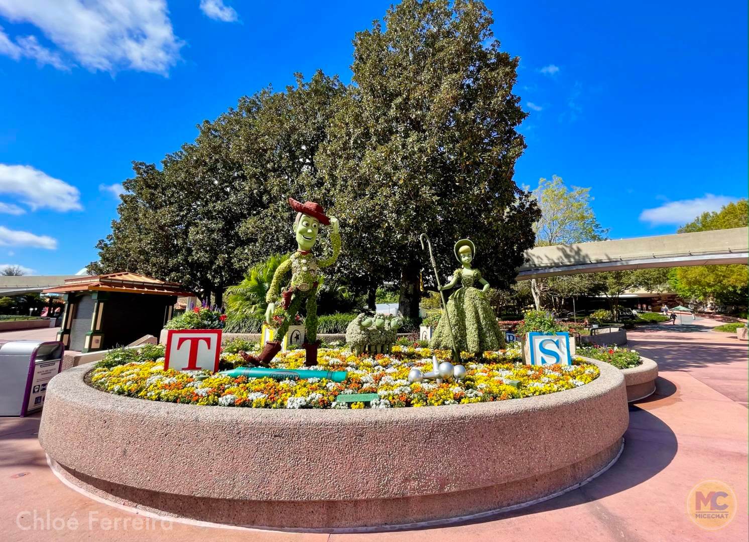 , Walt Disney World Updates – Splash, Bloom, Zoom