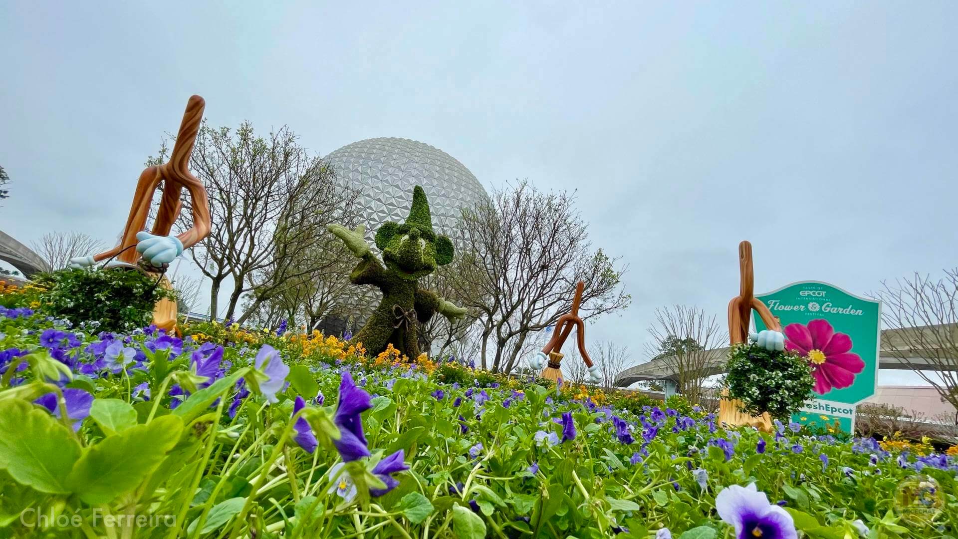 , Walt Disney World Updates – Splash, Bloom, Zoom