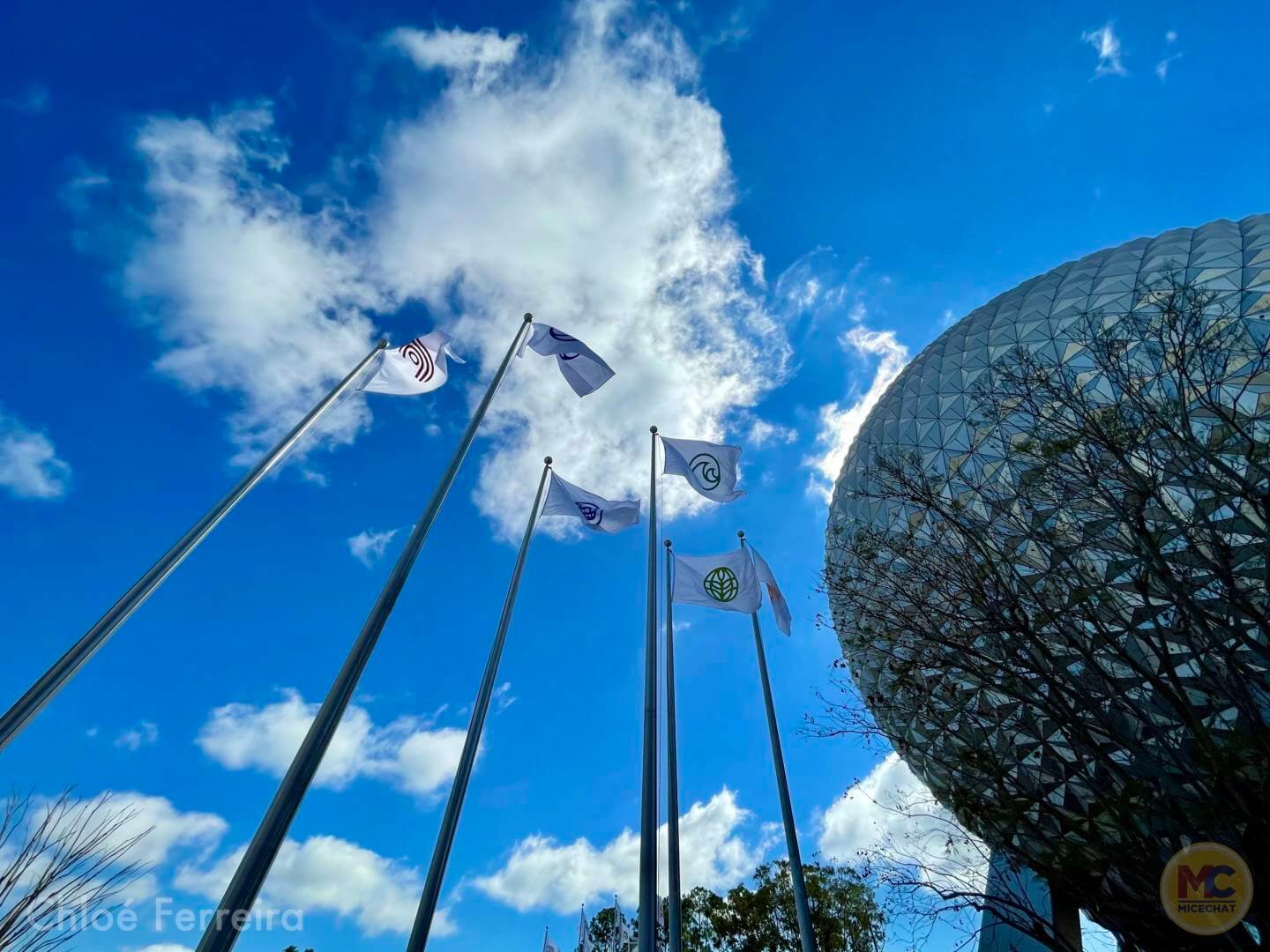 , Walt Disney World Updates – Splash, Bloom, Zoom