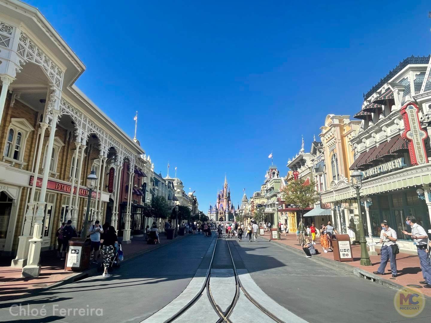 , Walt Disney World Updates – Splash, Bloom, Zoom