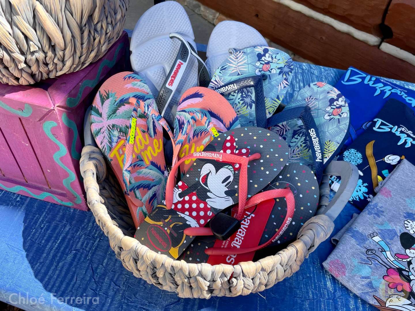 , Walt Disney World Updates – Splash, Bloom, Zoom
