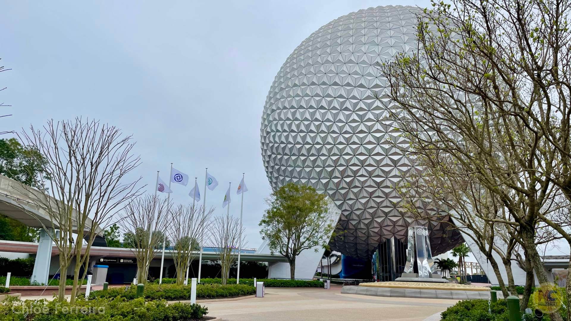, Walt Disney World Updates – Splash, Bloom, Zoom