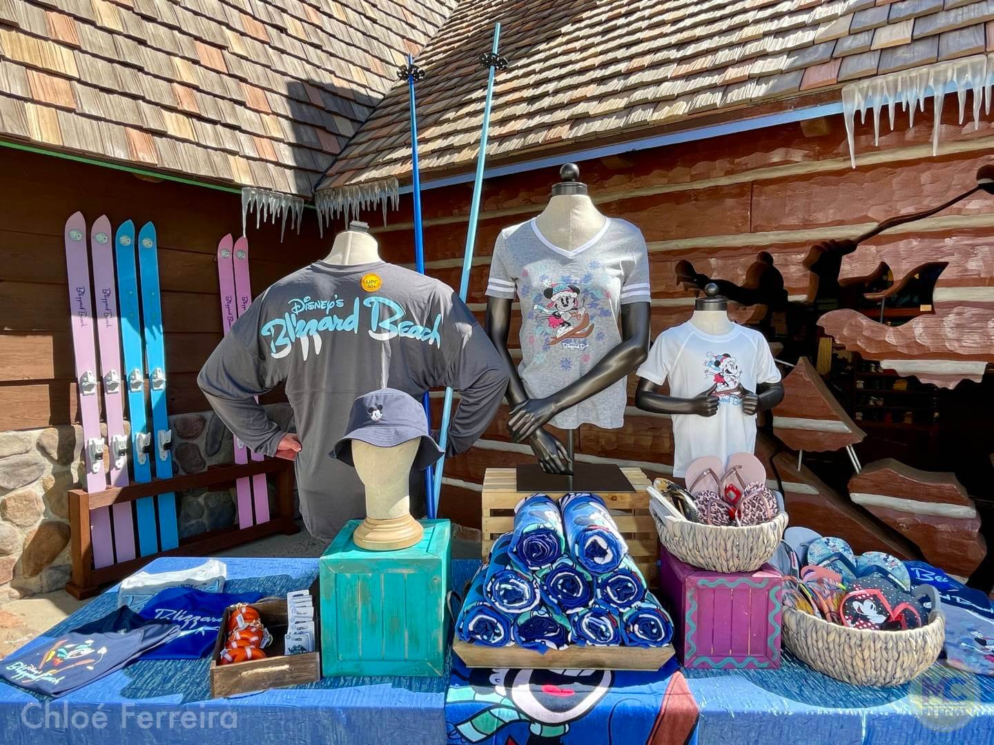 , Walt Disney World Updates – Splash, Bloom, Zoom