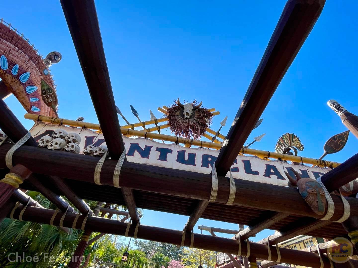 , Walt Disney World Updates – Splash, Bloom, Zoom
