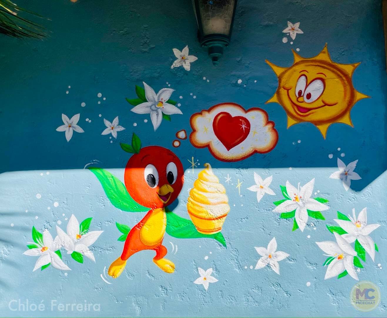 , Walt Disney World Updates – Splash, Bloom, Zoom