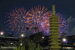 SeaWorld San Diego-Fireworks-1