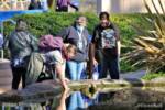 SeaWorld San Diego-Guests-Touch