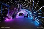 SeaWorld San Diego-Light Tunnel-2