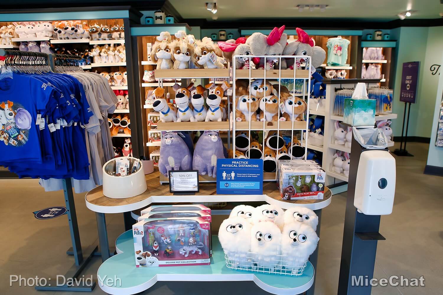, A Taste of Universal Studios Hollywood NOW OPEN with Surprises!
