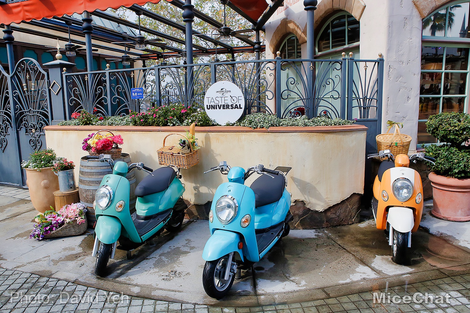 , A Taste of Universal Studios Hollywood NOW OPEN with Surprises!
