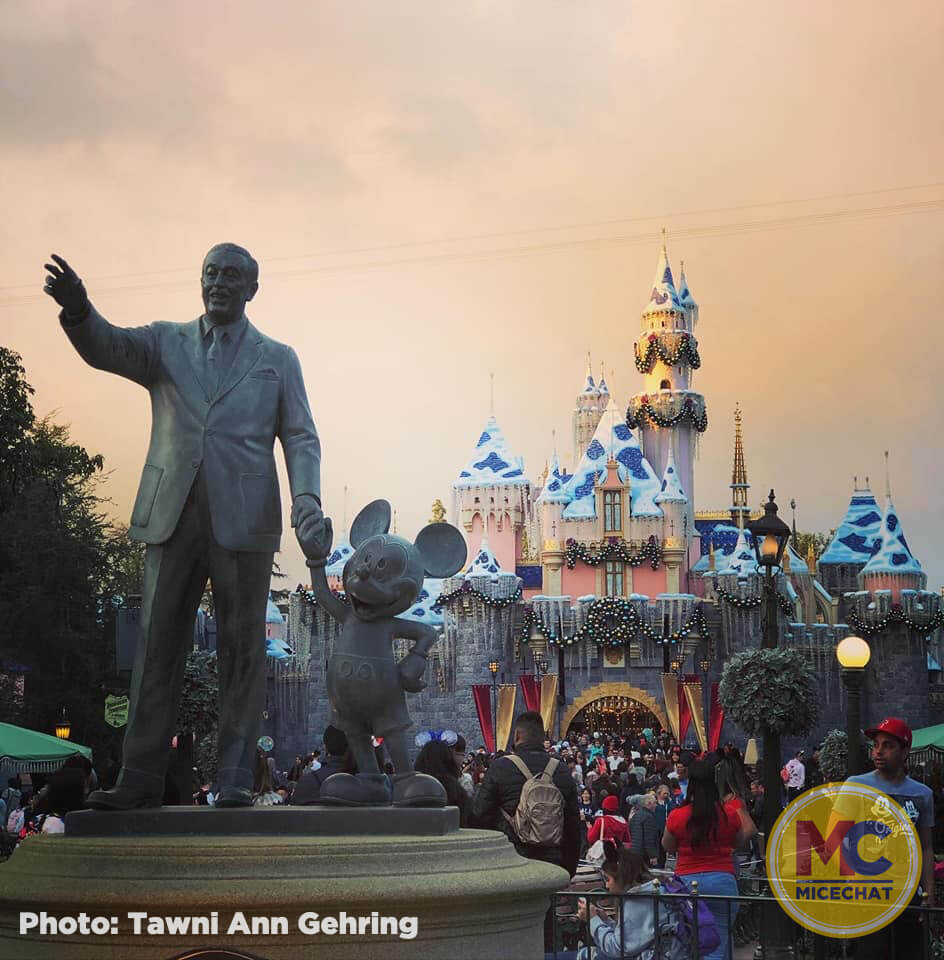, Disneyland News Update – It’s Looking Good!