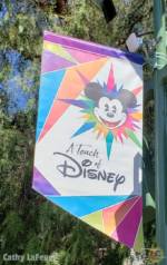 Touch of Disney Banner