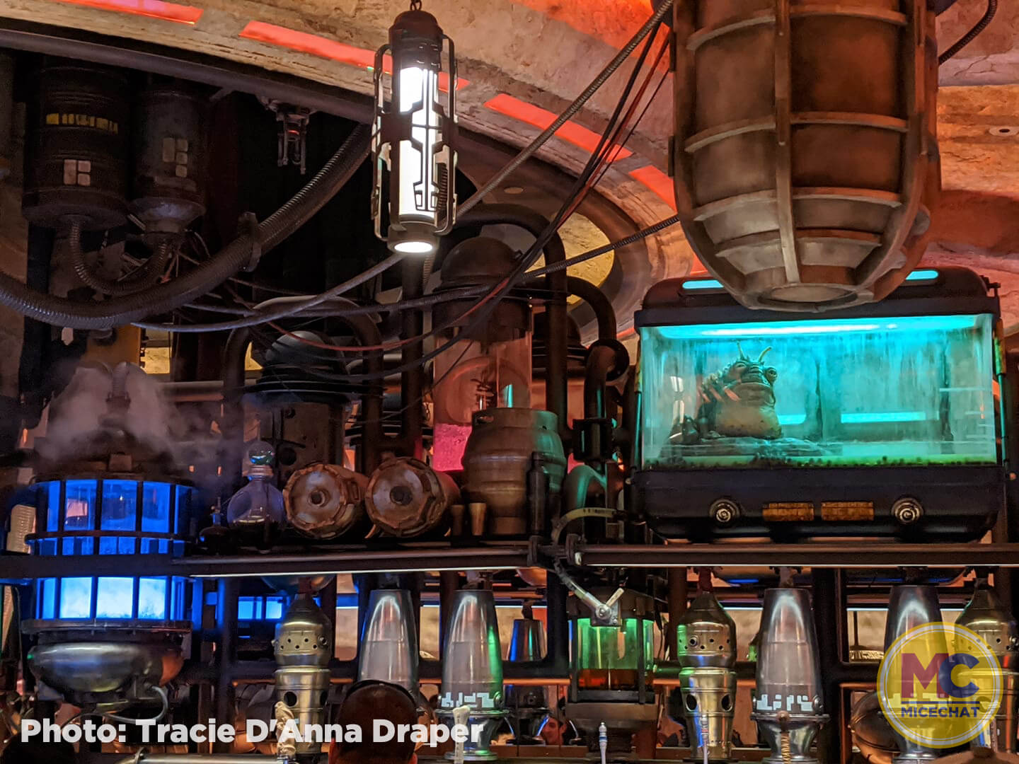 , Disneyland News Update – It’s Looking Good!