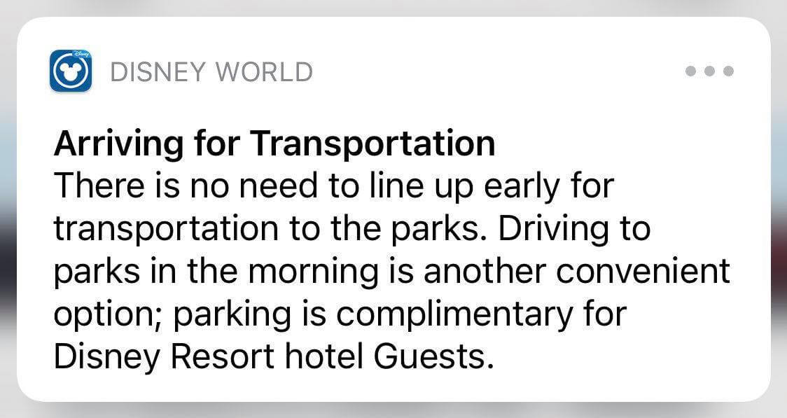 , Walt Disney World Update: Spring Break Problems, Castle Charm, New Tech