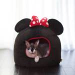 chewy-minnie-mouse-covered-pet-bed