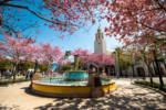 Carthay Circle at Disney California Adventure