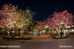 Carthay Circle at Disney California Adventure