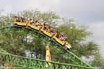 Busch Gardens Tampa Cheetah Hunt