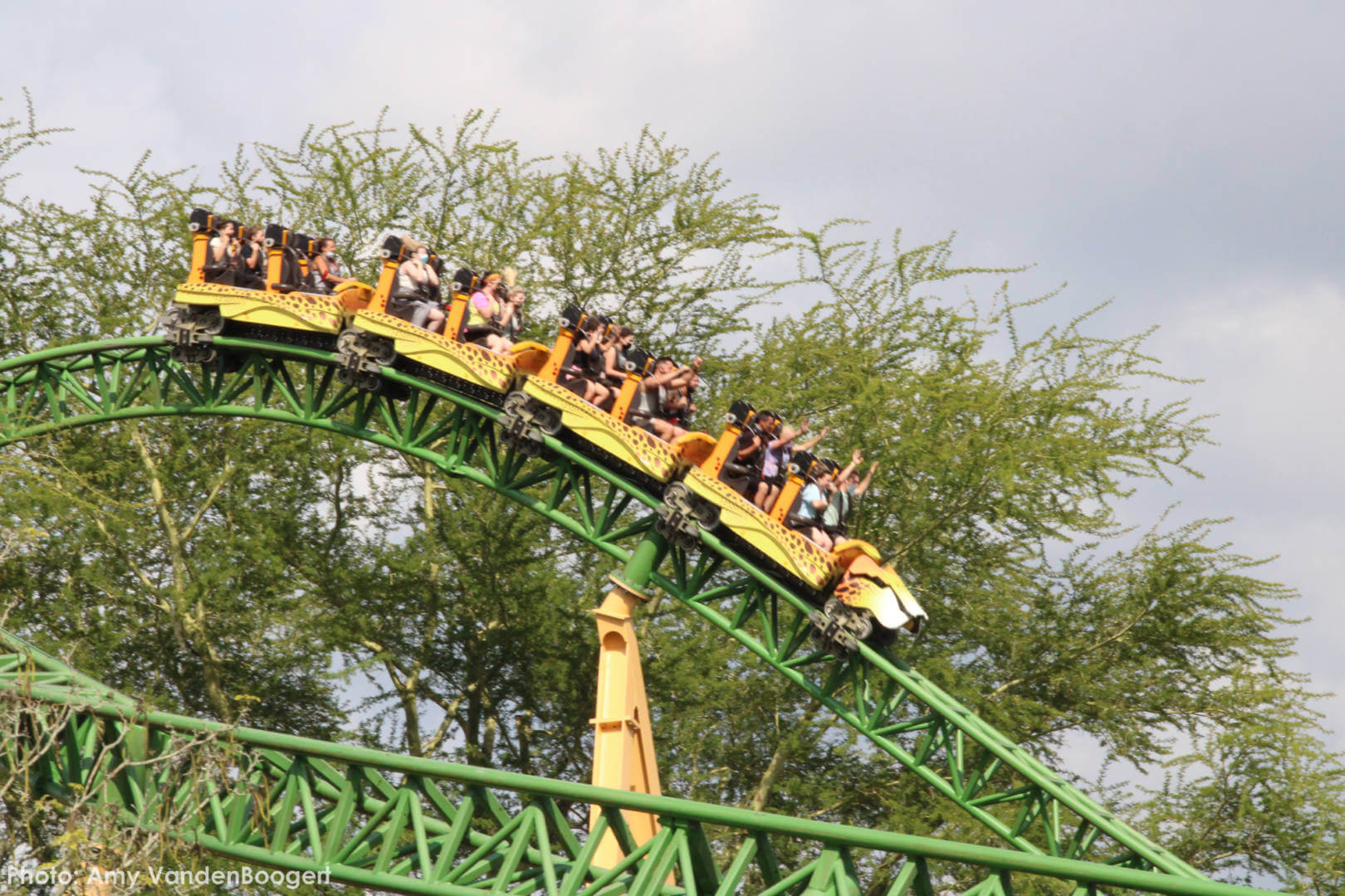 , Busch Gardens Tampa Update: Troubles in Paradise