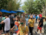 Busch Gardens Tampa Crowd